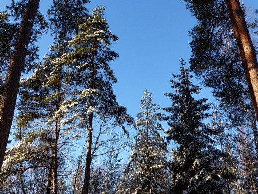1566719 (a): :2560x1920